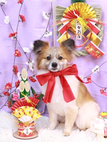 20230118スイフルくん